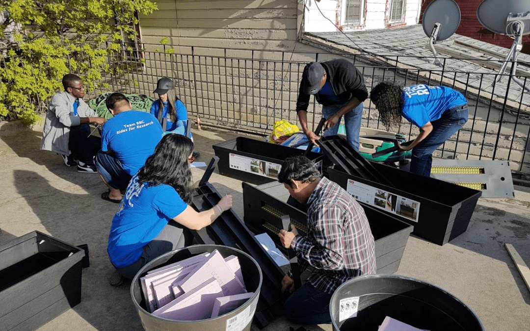 Naomi House Update June 2019